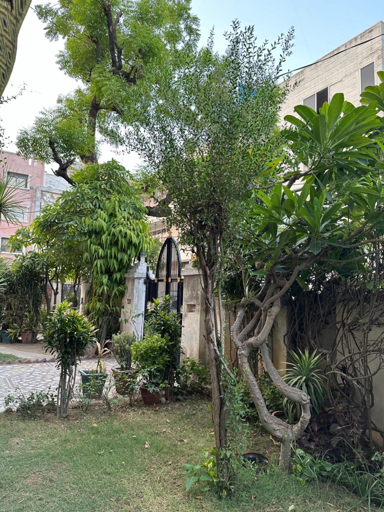 Jwala Niketan * Jaipur